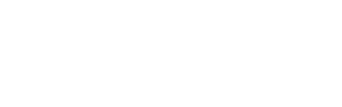Raymarine logo